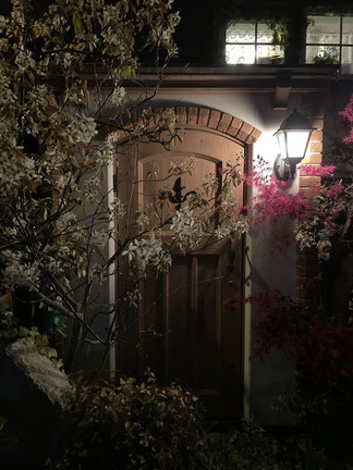 ����ʥ��塼��