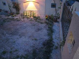 �����ζ���