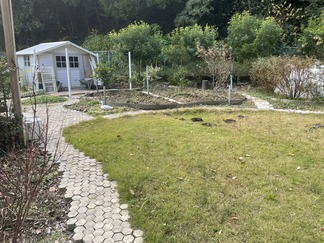 �����ǥ�