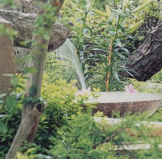 �Ϻ��������