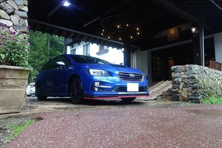 ����������ӣԣ�Sports