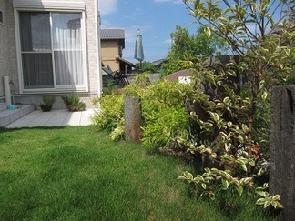 ¼ÇÀ¸¤Î¤ªÄí