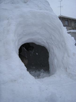 �礭�ʡ������ޤ���