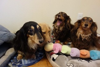 ���å����ե��4ɤ