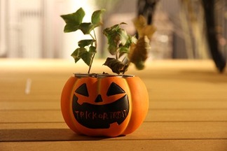ハローウィン