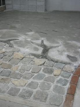 ��ε��­�ס���