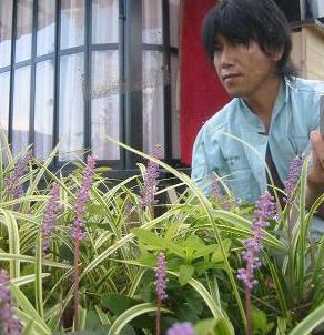 ��ʬ���ꡦ��������