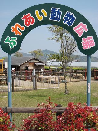 �դ줢��ưʪ����