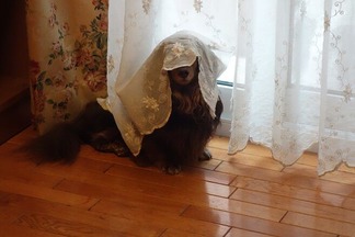 ���å����ե��