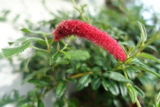 ����åȥơ���