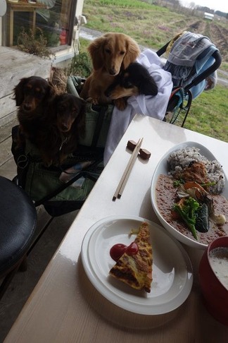 ���������ޤ�