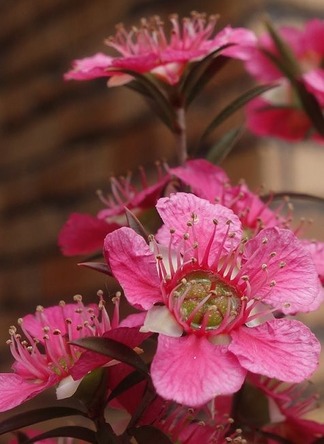 �����奦�Х��β�