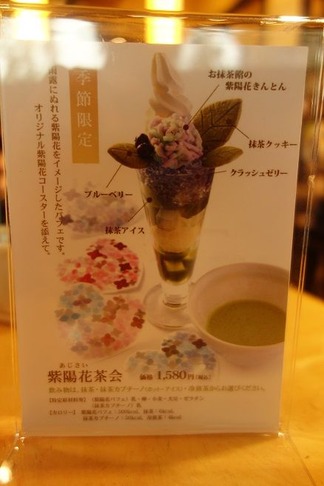 紫陽花茶会