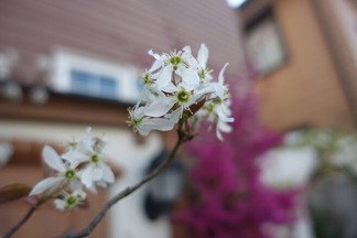 ���塼��٥꡼