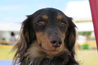 ���祳����