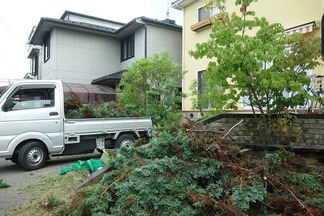 樹木剪定作業