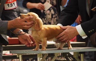 ���å���Ÿ