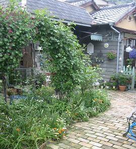 �����ҡ��Ǥ⡦��