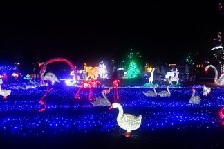 ���Τɤ��֤Ĥ���