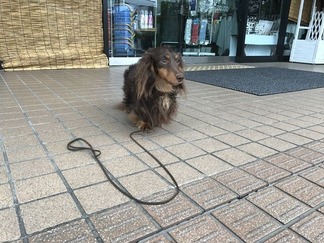 フレスコ緑店