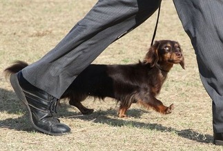 ���Ϳ���