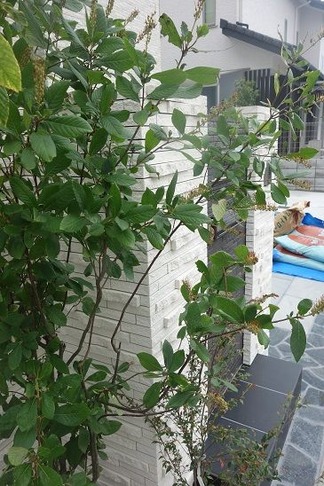 ���۳�������