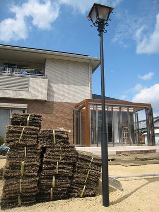 ��Ž������