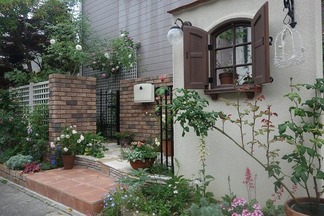 �ѥƥ��������ǥ�