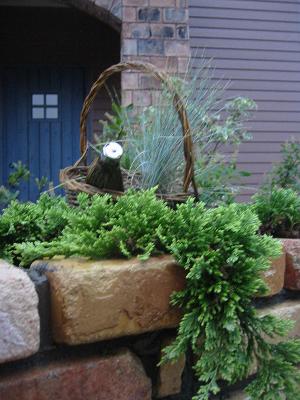 �ޥ���������