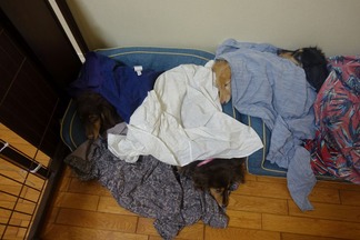 ���å����ե��