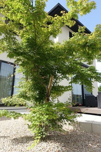 �����ϥ�ߥ�