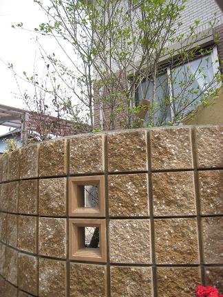 ��ޥܥ����γ�Ω��