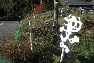 飛び出し坊や