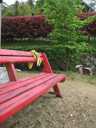 �����֤ʥ٥��