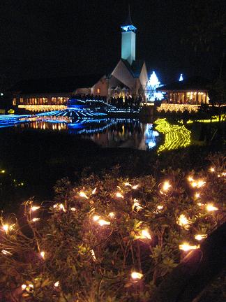 ��奤��ߥ͡������