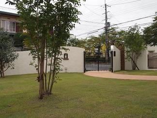 ͥ����ʷ�ϵ�����Ũ�ʤ���