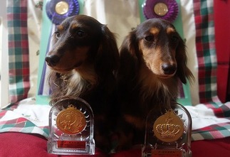 ���祳������