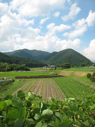 �Ĥ������Ϥ��