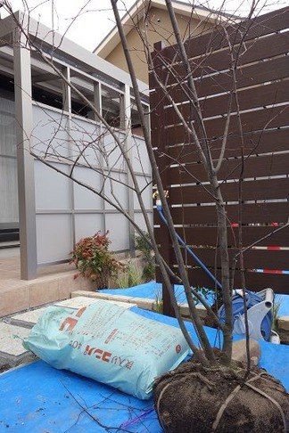 植栽工事作業中