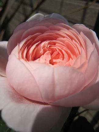 �������󡦥��֡����������ǥ�