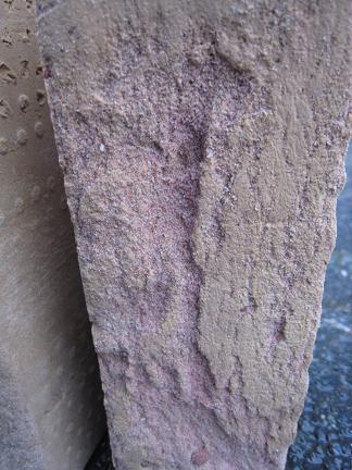 �ǥ�եȥ�������