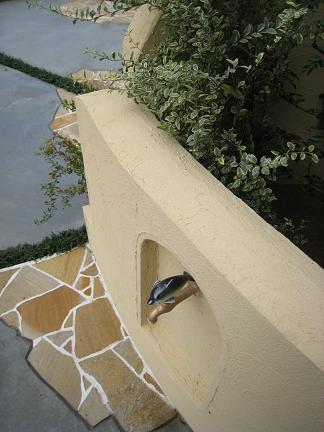 ���륫��Ω����