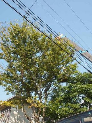 �礭�ʥ��䥭����