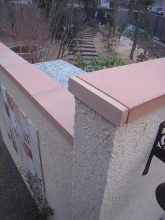 ǥ󥭥å󤫤į᤿ڤξƻ