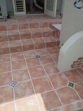 ���ʥ��ץ������Υ�����Ž��