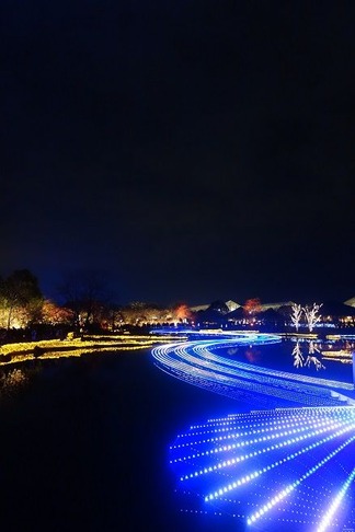 ��奤��ߥ͡������