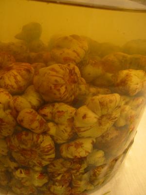 �ޤ����ӡ����¡�