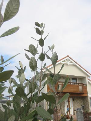 �ե������祢