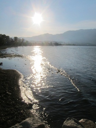 ���ʸФ�����ͼ��