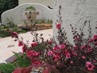 �����奦�Х��ۤ���į��ޤ�